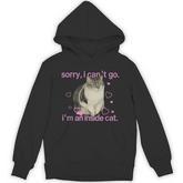Sorry I Can’T Go I’M An Inside Cat Hoodie