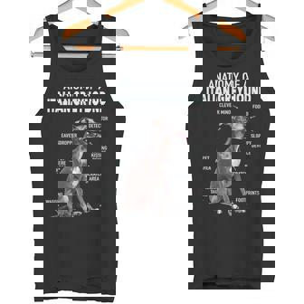 イタリアングレイハウンドの解剖学 タンクトップ - Kawaiitshirt