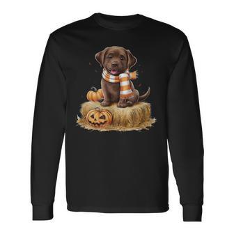 Pumpkin And A Chocolate Lab Long Sleeve T-Shirt - Thegiftio UK