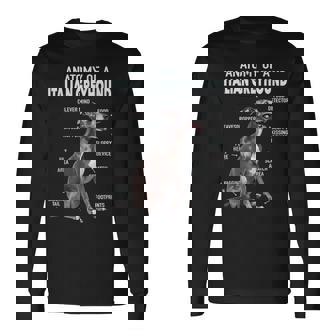 イタリアングレイハウンドの解剖学 長袖Tシャツ - Kawaiitshirt