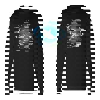 サメ6種 サメタイプ サメ 海の生き物 メガロドン サメ 長袖Tシャツ - Kawaiitshirt