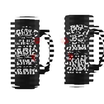Promoted From Dog Grandma To Human Grandma Coffee Mug - Thegiftio UK