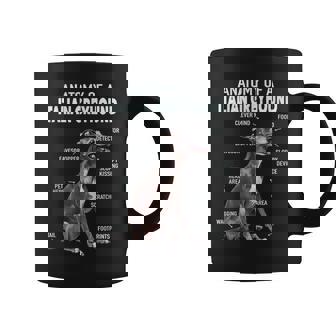 イタリアングレイハウンドの解剖学 コーヒーマグ - Kawaiitshirt