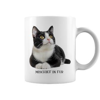 Mischief In Fur 猫写真 ハチワレ猫 黒白猫 猫好き ネタ 猫しもべ 猫飼い 猫依存症 コーヒーマグ - Kawaiitshirt