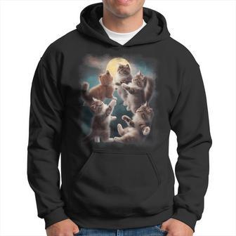 Cat Moon Cinco Amantes De Los Gatos Gatitos In Mangas Sudadera - Regaloses