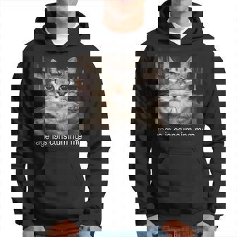 Rage Is Consuming Me 愚かな凝視猫ミーム パーカー - Kawaiitshirt