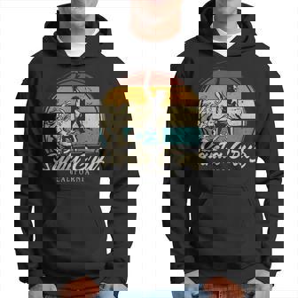 Souvenir Retrointage De La Ciudad Deanta Cruz California Sudadera - Regaloses