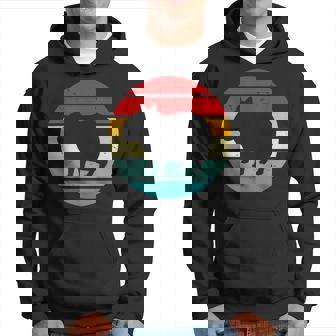 Vintage Retrounset Capybara パーカー - Kawaiitshirt