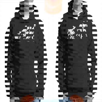 おかしなマーチングバンド ミュージシャン チューバ奏者 人類の進化 パーカー - Kawaiitshirt