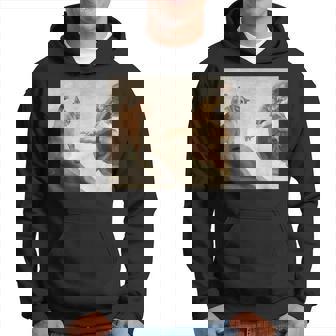 おかしな猫 神 創造 アダム ミーム イエス パーカー - Kawaiitshirt