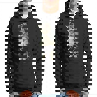 ぽっちゃり猫 お腹が大きい猫 ユーモア Fat Cat パーカー - Kawaiitshirt