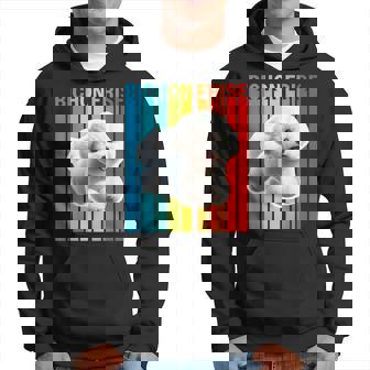 カラフルなビションフリーゼ パーカー - Kawaiitshirt