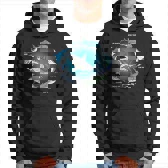 サメ6種 サメタイプ サメ 海の生き物 メガロドン サメ パーカー - Kawaiitshirt