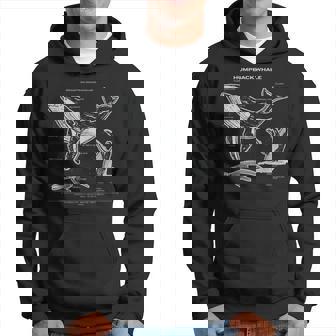 ザトウクジラの解剖学アパレルクジラ航海 パーカー - Kawaiitshirt