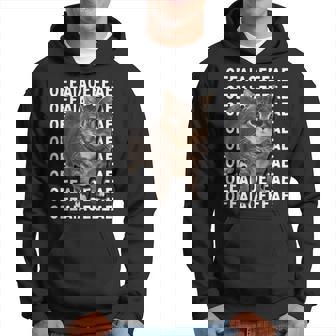 スピニングキャットミーム Oiiaoiia キャットミーム パーカー - Kawaiitshirt