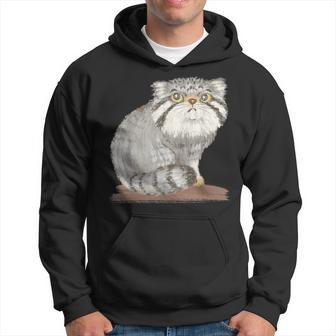 ネコ マヌルネコ 子猫 野生動物 パーカー - Kawaiitshirt