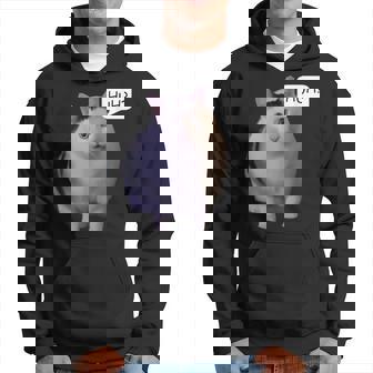 ハァ・キャット・ミーム パーカー - Kawaiitshirt