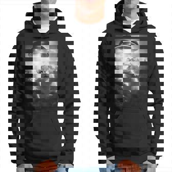 ハムスターを追うufo、クレイジーな動物、面白いハムスター パーカー - Kawaiitshirt