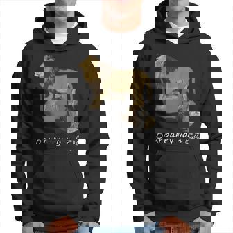 バーバリライオン パーカー - Kawaiitshirt