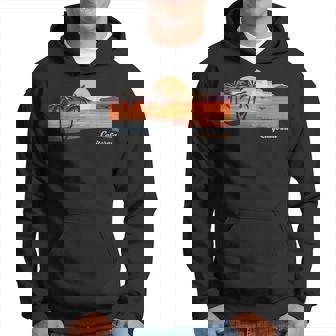 ビンテージ ピコ リベラ カリフォルニア ビーチ パーカー - Kawaiitshirt