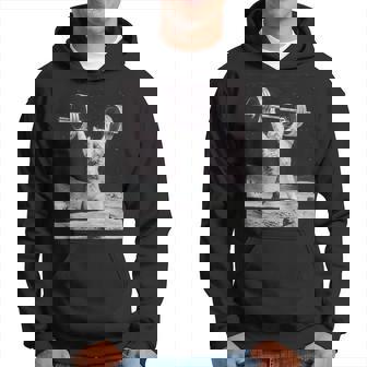 ムーンキャット 筋トレ 猫 フィットネス ジム ウェイトリフティング トレーニング 面白い猫 おもしろ パーカー - Kawaiitshirt