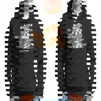 レッサーパンダ かわいい パンダ おもしろ 動物 アート イラスト パーカー - Kawaiitshirt