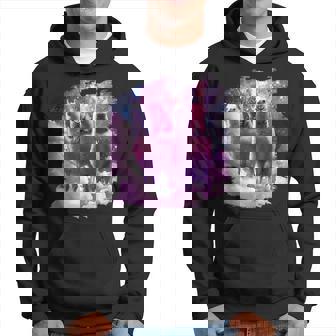 宇宙で虹色のラマに乗る子猫 パーカー - Kawaiitshirt