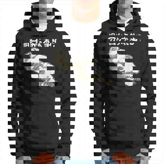 明日から本気出す 面白い猫のことわざ パーカー - Kawaiitshirt