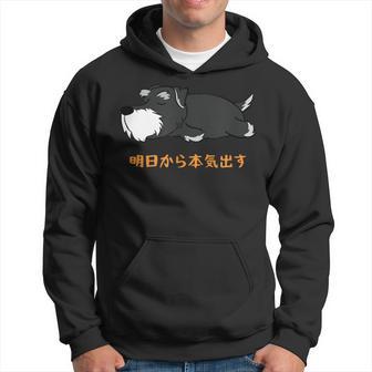 犬 おもしろ 明日から本気出すから 可愛い シュナウザー ミニチュアシュナウザー パーカー - Kawaiitshirt