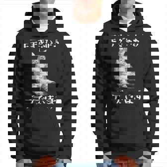 猫 モテるデブ 面白いtシャツ 文字入り メンズ おもしろ 面白い 服 オリジナル おもしろグッズ 文字 パーカー - Kawaiitshirt