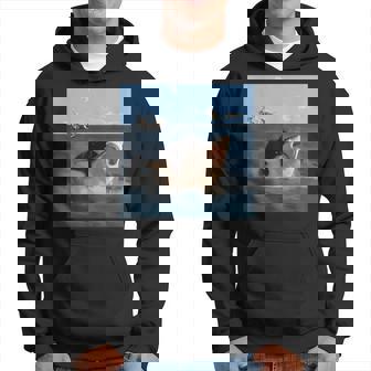 猫を噛むサメの面白いアートと猫好きの面白い猫とサメ。 パーカー - Kawaiitshirt