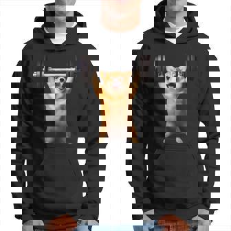 面白いtシャツ コーギー 犬 イヌ わんこ メンズ 犬好き グッズ かわいい 面白い 服 ネタ 筋トレ パーカー - Kawaiitshirt