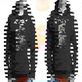 面白いtシャツ トイプードル わがままボディ イヌ 犬 メンズ 犬好き グッズ おもしろ 面白い 服 ネタ パーカー - Kawaiitshirt