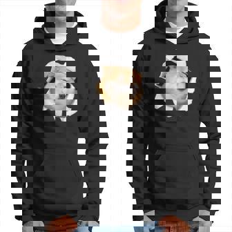 面白いtシャツ 柴犬 シバイヌ 犬 イヌ わんこ メンズ 犬好き グッズ かわいい 面白い 服 ネタ パーカー - Kawaiitshirt