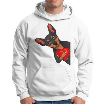 Cane Pinscher In Miniatura Felpa con cappuccio - Novitaregali