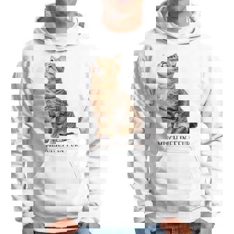 Mischief In Fur 猫写真 キジトラ 猫好き ネタ 猫しもべ 猫飼い 猫依存症 猫オーナー パーカー - Kawaiitshirt