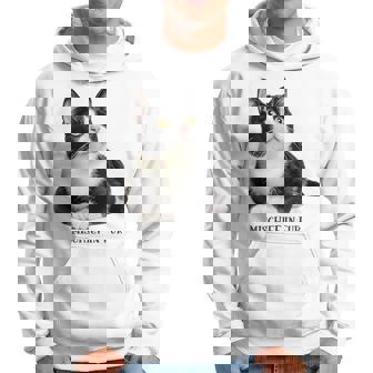 Mischief In Fur 猫写真 ハチワレ猫 黒白猫 猫好き ネタ 猫しもべ 猫飼い 猫依存症 パーカー - Kawaiitshirt