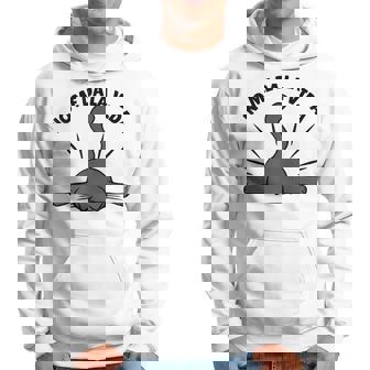 No Me Da Laida Divertido Gato Negro Divertida Sudadera - Regaloses