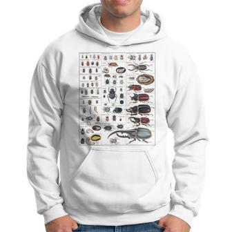昆虫コレクション 種 虫 ビンテージ チャート 昆虫学 パーカー - Kawaiitshirt