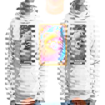 面白いtシャツ ポメラニアン イヌ わんこ メンズ 犬好き グッズ かわいい おもしろ 面白い 服 ネタ 犬 長袖tシャツ パーカー - Kawaiitshirt