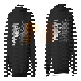 2匹の猫がミームを話す スウェットシャツ - Kawaiitshirt