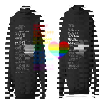 Bandera Del Orgullo Lgbt Arco Iris Aliado Lesbiana Bisexual Camisa de entrenamiento - Regaloses