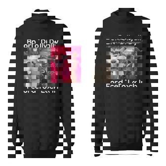 Born To Dilly Dally Forced To Lock In Cat Meme Memes Sweatshirt - Thegiftio