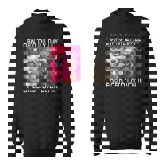 Born To Dilly Dally Forced To Lock In Cat Meme Sweatshirt | Mazezy