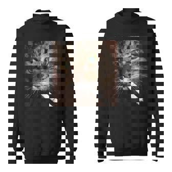 Cat Meme Cat Smoking Cigarette Sweatshirt | Mazezy