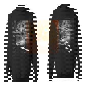 Cat Meme Cat Smoking Cigarette Sweatshirt - Monsterry