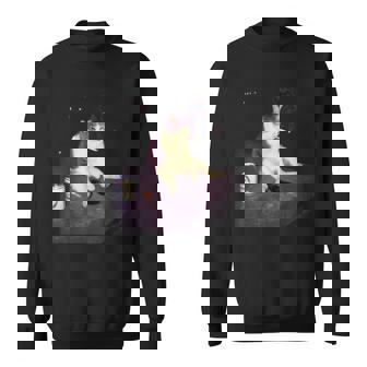 Cigarette Kitten Smoking Cat Meme Stupid Brainrot Sweatshirt | Mazezy