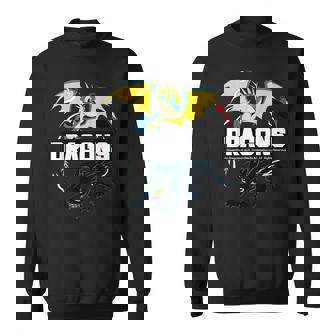 Cómo Entrenar A Tu Dragón Película 2025 Dragones Camisa de entrenamiento - Regaloses