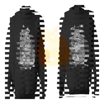 Degu Eating Alice Of Pizza スウェットシャツ - Kawaiitshirt