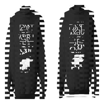 Don't Worry Be Capy カピバラ 心配しないで カピー カピバラ齧歯類愛好家 スウェットシャツ - Kawaiitshirt